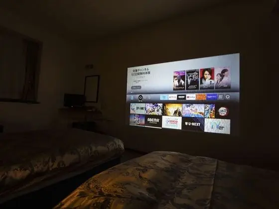 Deluxe Tek Büyük veya İki Ayrı Yataklı Oda, Sigara İçilmez