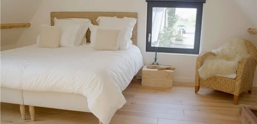 Süit (Rouge Flamande)