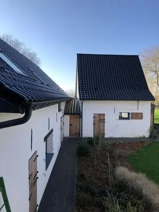 Süit (Rouge Flamande)