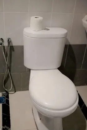 Süit