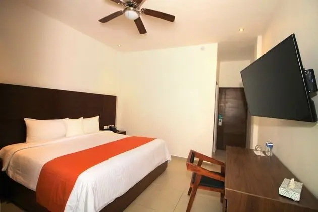Standard Suite