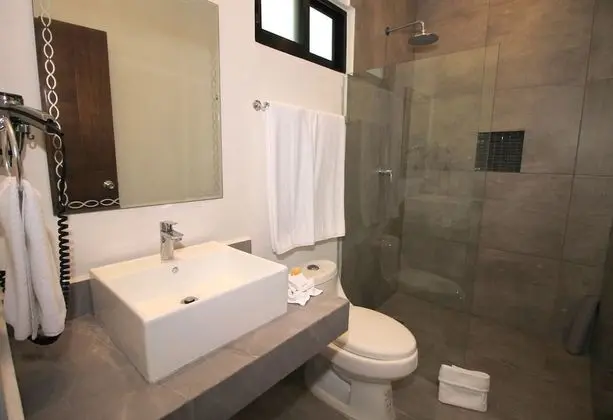 Standard Suite