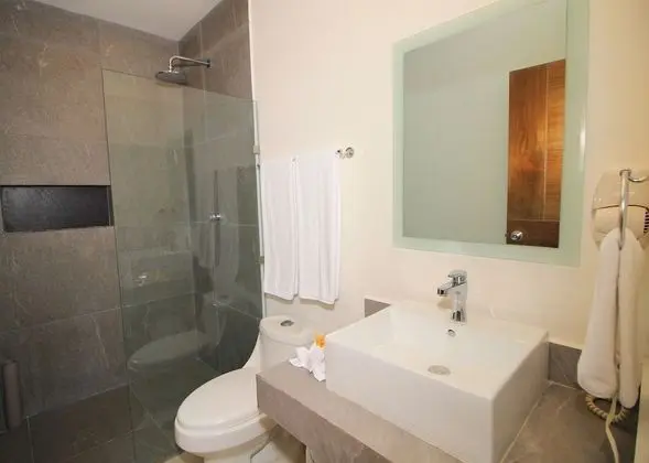 Standard Suite