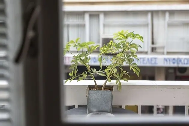 Apartment 1A