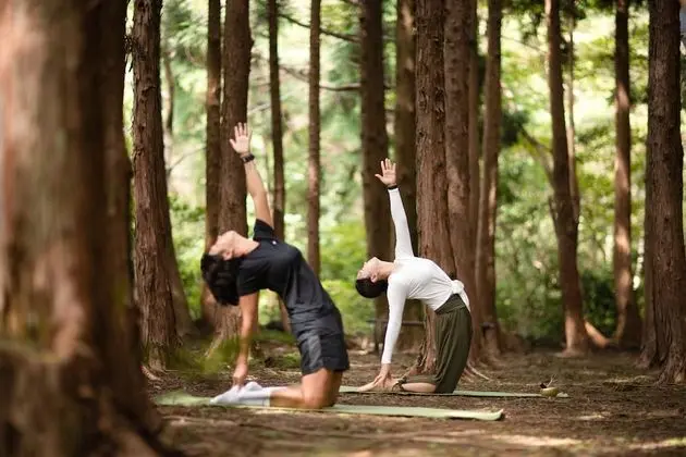 Superior Twin (Double+Single) with Mountain View + Wellness program 3 guests included (Per night)