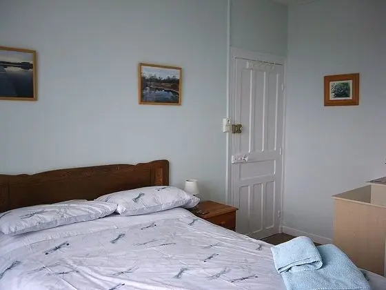 Tek Büyük Yataklı Oda, 1 Çift Kişilik Yatak (3)