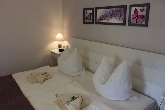 Apart Daire, 1 Yatak Odası, Mutfak, Bahçe Manzaralı (Dresden)