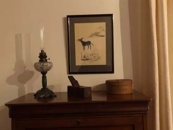 Tek Büyük Yataklı Oda