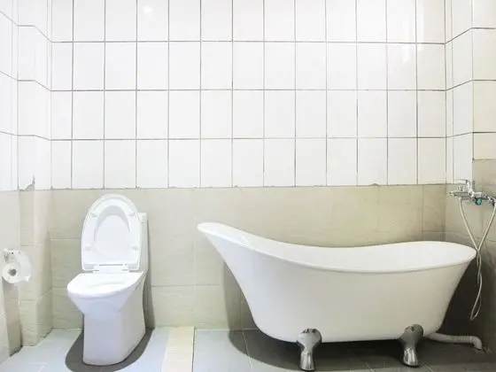 Deluxe Süit, 1 Büyük (Queen) Boy Yatak, Sigara İçilmez