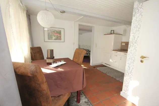 Apart Daire, 1 Yatak Odası, Teras