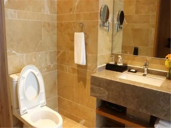 Standard İki Ayrı Yataklı Oda, Şehir Manzaralı