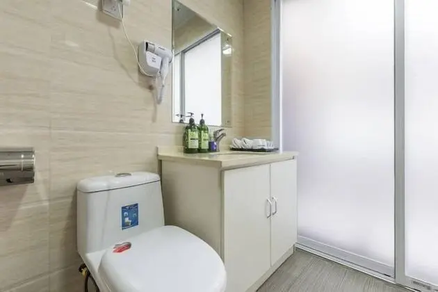 Standard Tek Büyük Yataklı Oda, 1 En Büyük (King) Boy Yatak, Şehir Manzaralı