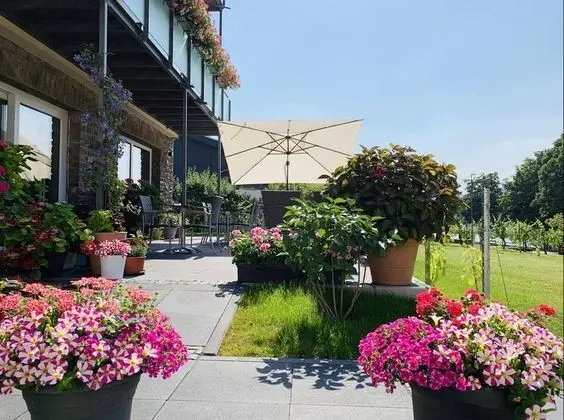 Comfort Tek Büyük Yataklı Oda, Engellilere Uygun (Mosel view)