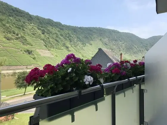 Comfort Tek Büyük Yataklı Oda, Engellilere Uygun (Mosel view)