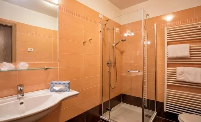 Standard Tek Büyük veya İki Ayrı Yataklı Oda