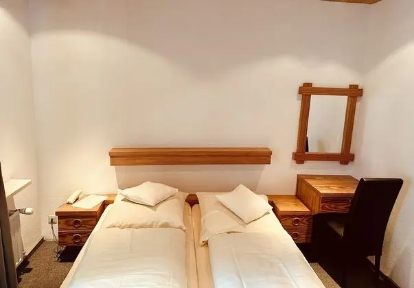 Basic Tek Büyük Yataklı Oda, Banyolu/Duşlu