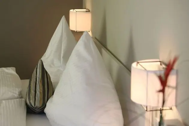 Superior Tek Büyük Yataklı Oda, Üzüm Asması Manzaralı