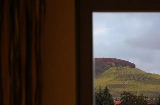 Superior Tek Büyük Yataklı Oda, Üzüm Asması Manzaralı