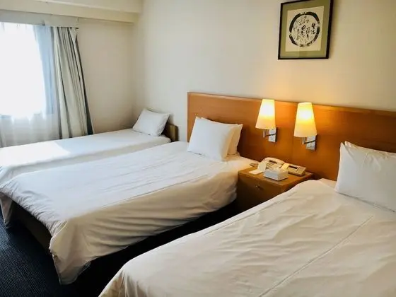 Standard İki Ayrı Yataklı Oda, Sigara İçilmez (with 1 Extra bed)