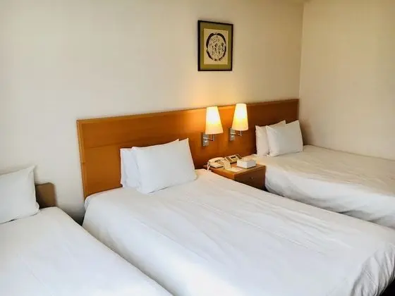 Standard İki Ayrı Yataklı Oda, Sigara İçilmez (with 1 Extra bed)