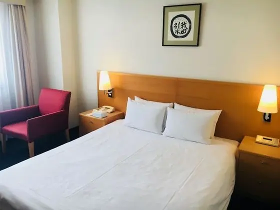Standard Tek Büyük Yataklı Oda, Sigara İçilmez