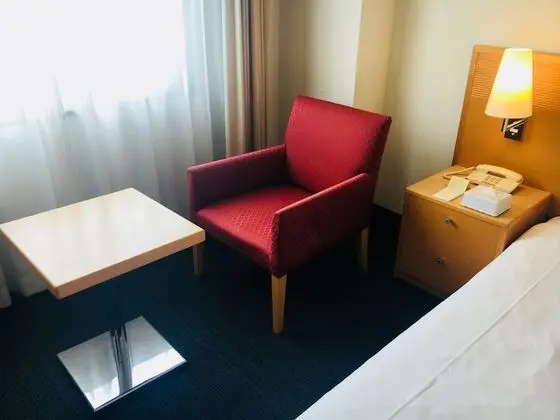 Standard Tek Büyük Yataklı Oda, Sigara İçilmez