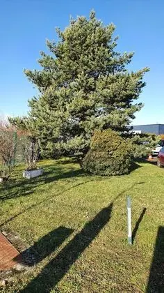 Oda, 2 Tek Kişilik Yatak