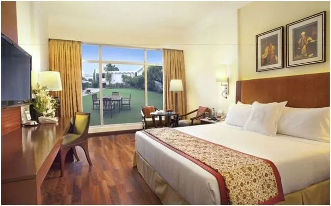 Deluxe Oda, 1 En Büyük (King) Boy Yatak, Havuz Manzaralı (Executive Club Exclusive Double)