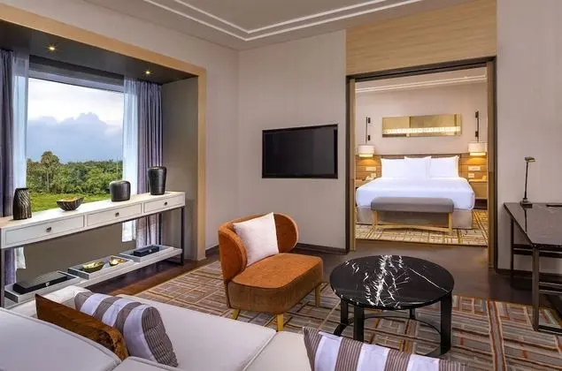 Süit, 1 En Büyük (King) Boy Yatak (Presidential Suite)