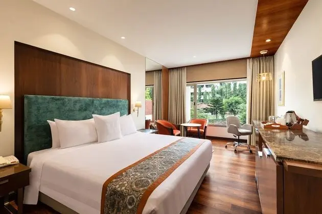 Deluxe Oda, 1 Büyük (Queen) Boy Yatak (Deluxe Room Double)