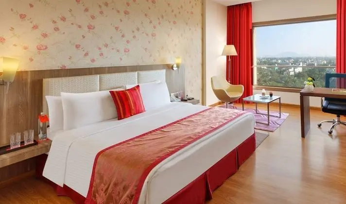 Deluxe Oda, 1 En Büyük (King) Boy Yatak (Deluxe Room)