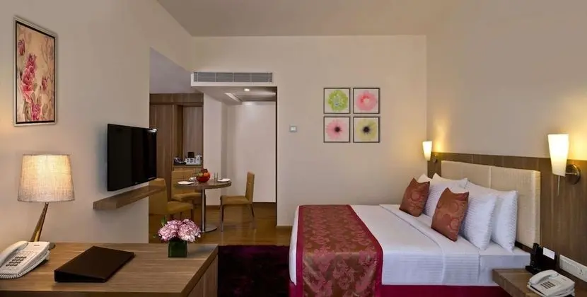 Süit, 1 En Büyük (King) Boy Yatak (Executive Suite)