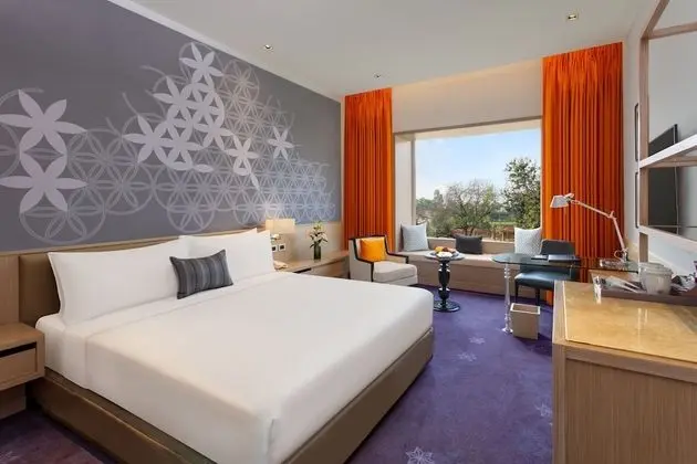 Deluxe Oda, 1 En Büyük (King) Boy Yatak, Şehir Manzaralı (Deluxe Room Double)
