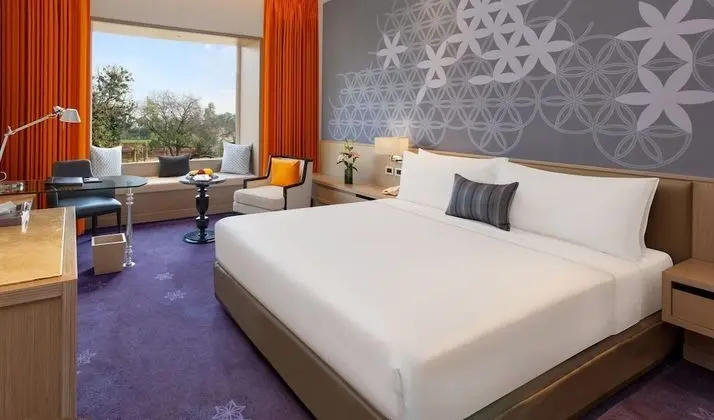 Deluxe Oda, 1 En Büyük (King) Boy Yatak, Şehir Manzaralı (Deluxe Room Double)