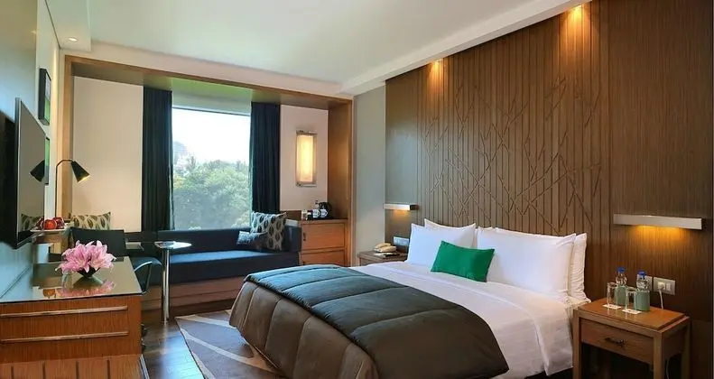 Deluxe Oda, 1 Büyük (Queen) Boy Yatak (Executive Club Double)