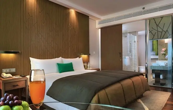 Süit, 1 En Büyük (King) Boy Yatak (Executive Suite)