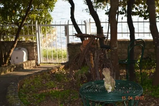 Apart Daire, 1 Yatak Odası, Teras