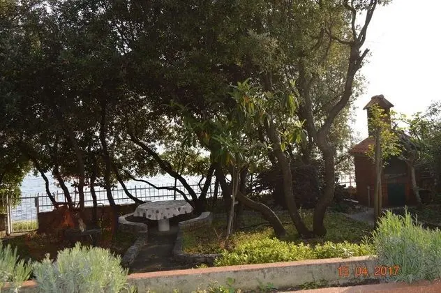 Apart Daire, 1 Yatak Odası, Teras