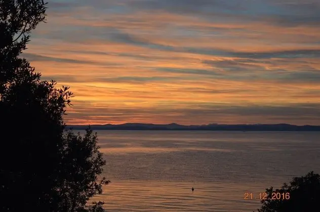 Apart Daire, 1 Yatak Odası, Teras