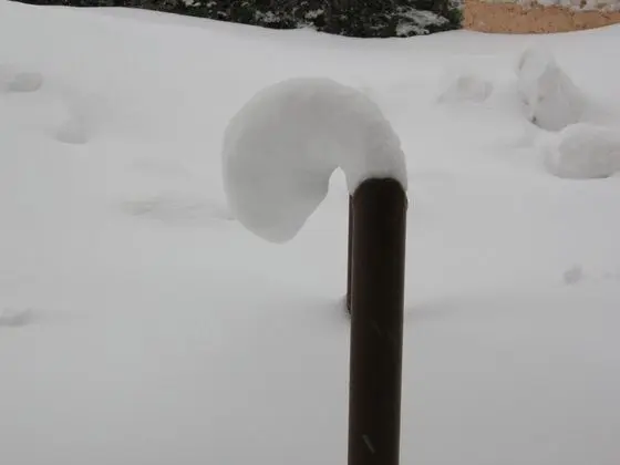 Ev, 1 Yatak Odası, Veranda