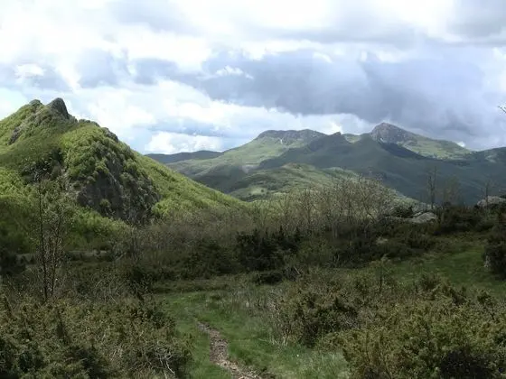 Ev, 1 Yatak Odası, Veranda