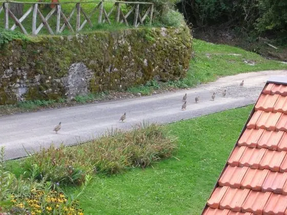 Ev, 1 Yatak Odası, Veranda