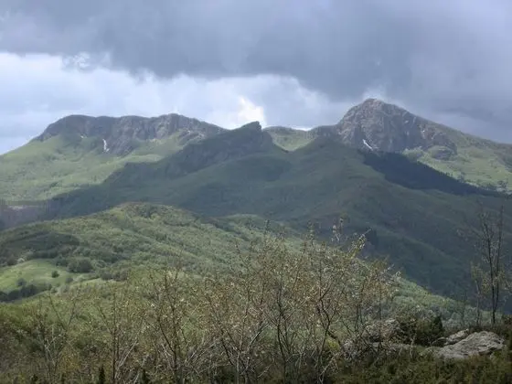 Ev, 1 Yatak Odası, Veranda