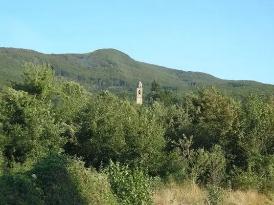 Ev, 1 Yatak Odası, Veranda