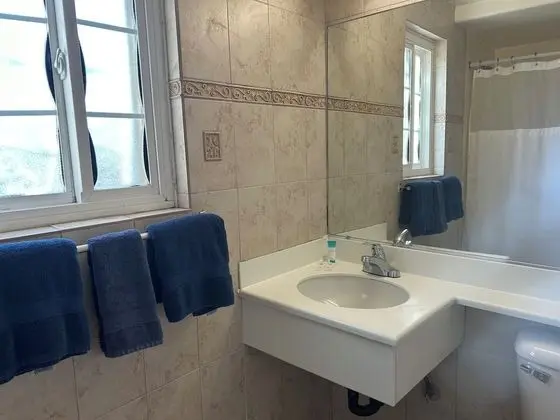 Basic Tek Büyük Yataklı Oda, 1 Yatak Odası