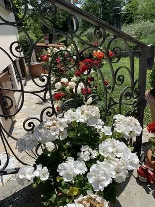 Villa, 5 Yatak Odası, Şömine