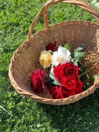 Villa, 5 Yatak Odası, Şömine