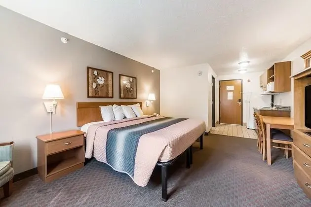Premium King Suite
