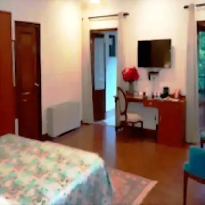 Traditional Tek Büyük Yataklı Oda