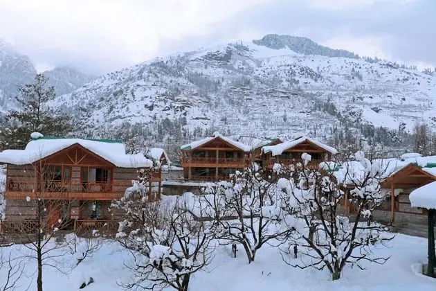 Superior Oda, 1 Çift Kişilik Yatak